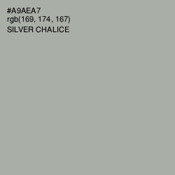 #A9AEA7 - Silver Chalice Color Image