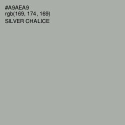 #A9AEA9 - Silver Chalice Color Image