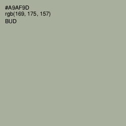 #A9AF9D - Bud Color Image