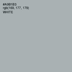 #A9B1B3 - Bombay Color Image