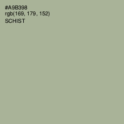 #A9B398 - Schist Color Image