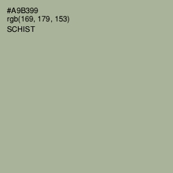 #A9B399 - Schist Color Image
