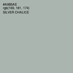 #A9B5AE - Silver Chalice Color Image