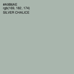 #A9B6AE - Silver Chalice Color Image