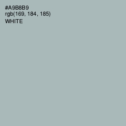 #A9B8B9 - Tower Gray Color Image