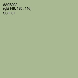 #A9B992 - Schist Color Image