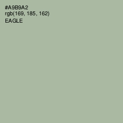 #A9B9A2 - Eagle Color Image