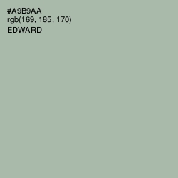 #A9B9AA - Edward Color Image