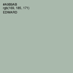 #A9B9AB - Edward Color Image