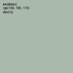 #A9B9AC - Edward Color Image
