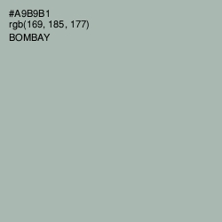 #A9B9B1 - Bombay Color Image