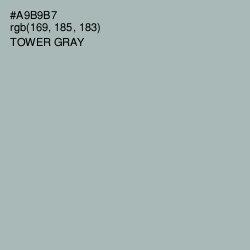 #A9B9B7 - Tower Gray Color Image