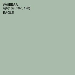 #A9BBAA - Eagle Color Image