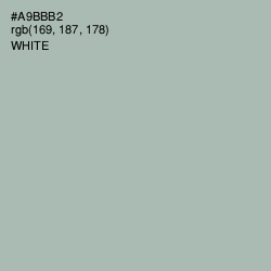 #A9BBB2 - Bombay Color Image