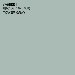 #A9BBB4 - Tower Gray Color Image