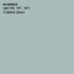 #A9BBBB - Tower Gray Color Image