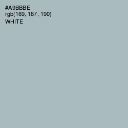 #A9BBBE - Tower Gray Color Image