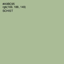 #A9BC95 - Schist Color Image