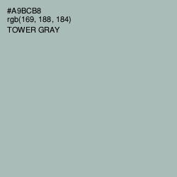 #A9BCB8 - Tower Gray Color Image