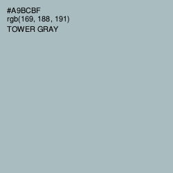 #A9BCBF - Tower Gray Color Image