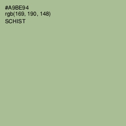 #A9BE94 - Schist Color Image