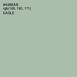 #A9BEAB - Eagle Color Image