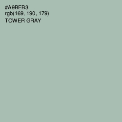 #A9BEB3 - Tower Gray Color Image