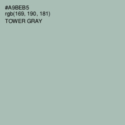 #A9BEB5 - Tower Gray Color Image