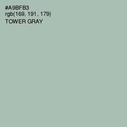 #A9BFB3 - Tower Gray Color Image
