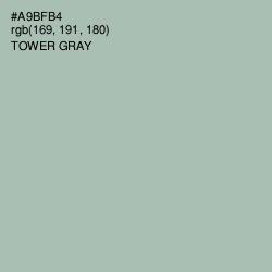 #A9BFB4 - Tower Gray Color Image