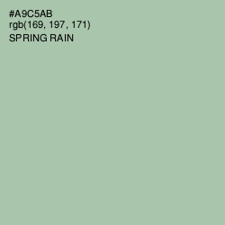 #A9C5AB - Spring Rain Color Image