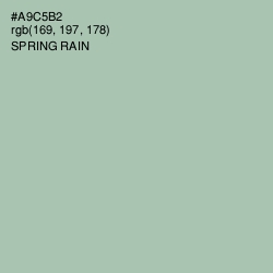 #A9C5B2 - Spring Rain Color Image