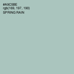 #A9C5BE - Spring Rain Color Image