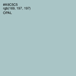 #A9C5C5 - Opal Color Image