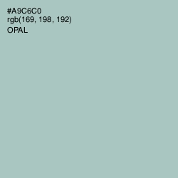 #A9C6C0 - Opal Color Image