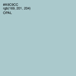 #A9C9CC - Opal Color Image