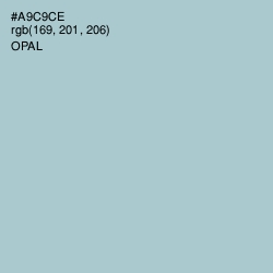 #A9C9CE - Opal Color Image