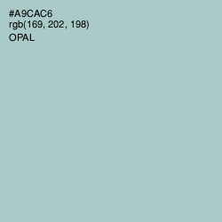 #A9CAC6 - Opal Color Image