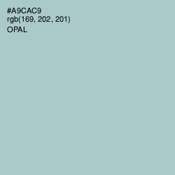 #A9CAC9 - Opal Color Image