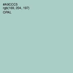 #A9CCC5 - Opal Color Image