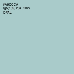 #A9CCCA - Opal Color Image