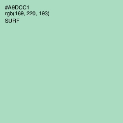 #A9DCC1 - Surf Color Image