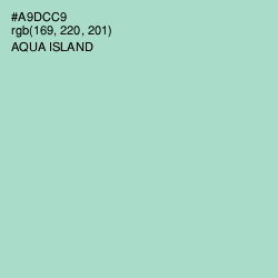 #A9DCC9 - Aqua Island Color Image