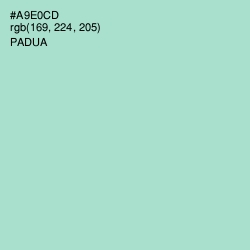 #A9E0CD - Padua Color Image