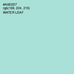 #A9E0D7 - Water Leaf Color Image