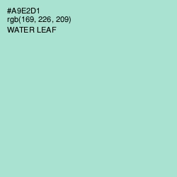 #A9E2D1 - Water Leaf Color Image