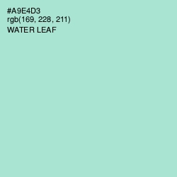 #A9E4D3 - Water Leaf Color Image