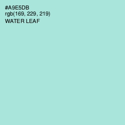 #A9E5DB - Water Leaf Color Image