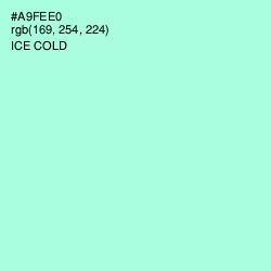 #A9FEE0 - Ice Cold Color Image