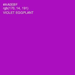 #AA0EBF - Violet Eggplant Color Image